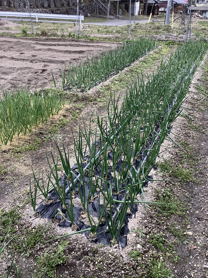 6f7a38fa41aa44629e28f26fd3bf8403