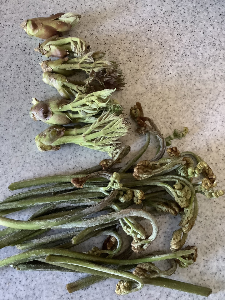 A558f3ab214a44dcbedbfba810250ee8