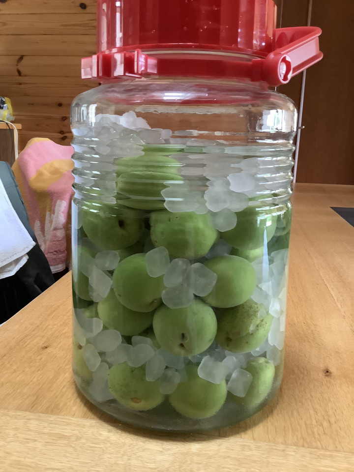 24140b5f9f27477786c337fe51cddf25