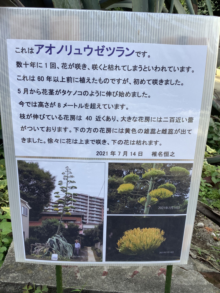 10a87d8253c9401e97518077c7533bb0