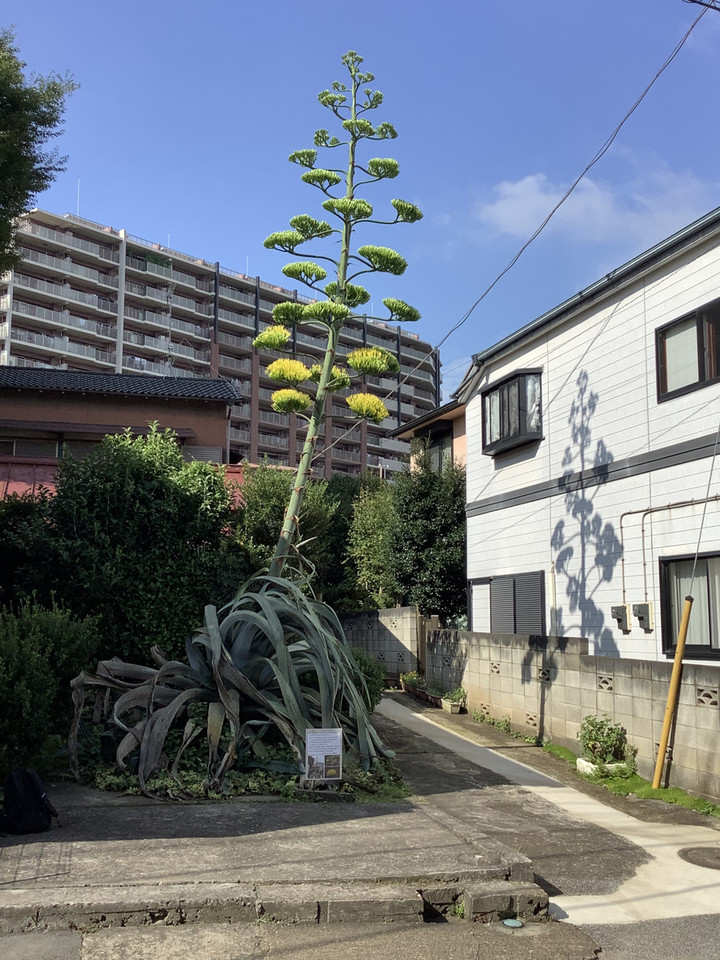 87d05d326a25489f89d2c7b060fb8b06