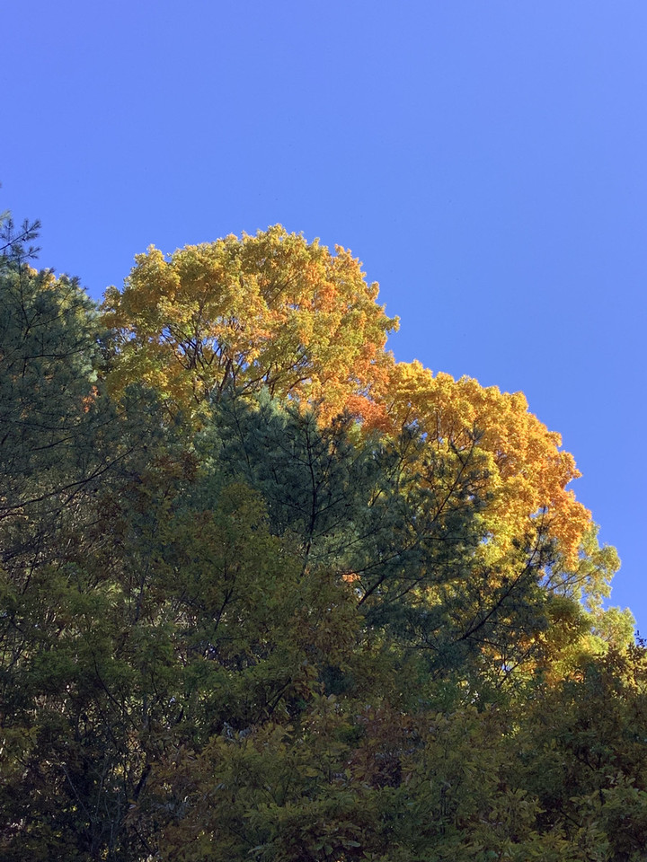 A1e71b76621343ff94261e54fbdf6e99