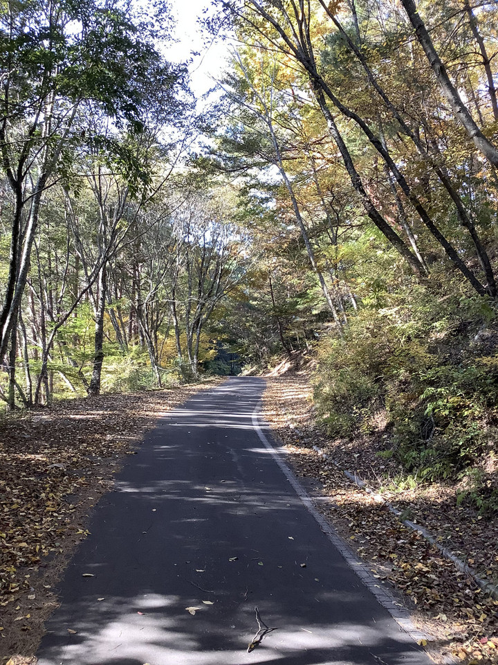 Bea293c3ae1c43d9932ecbd9b59af9ed