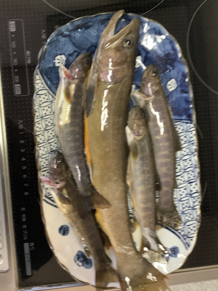 6ded1889ba7b43c69d09d60c0873b59e